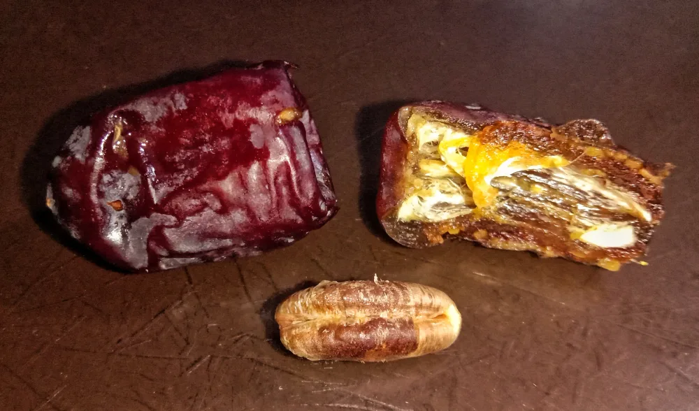 Kurma Mazafati / Rotab Bam Iran Grosir
