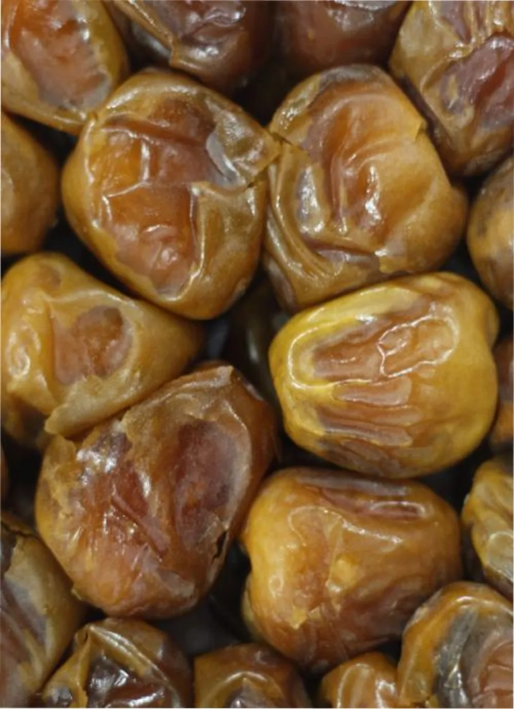Kurma Sukari Al-Qassim Grosir (Rutab & Kering)